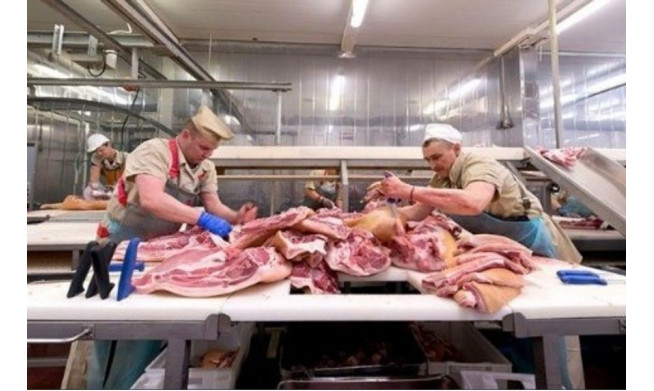 Магазин, интернет-магазин по продаже мяса \ Чистая прибыль 170.000
